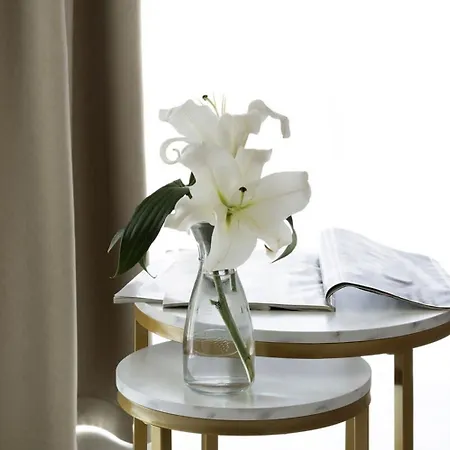 דירה Szwarc By Elite *